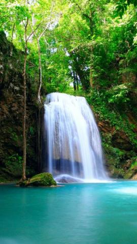 iPhone Wallpaper Nature