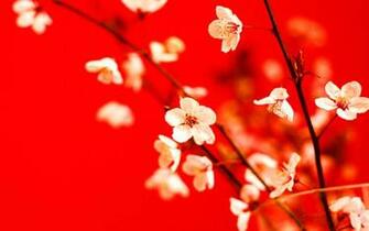 Collection Great Pictures Pure High Definition HD You Can