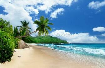 Mahe Island Beach Seychelles Wallpaper Mural Wallsauce Us
