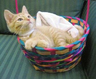Easter Basket Wallpaper