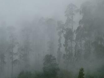 This Image To Full Resolution Dense Fog Photo Of Charge