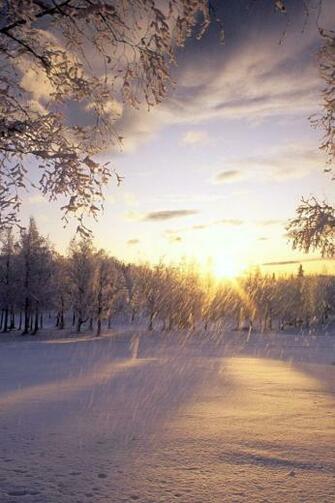 Falling Snow Desktop Wallpaper