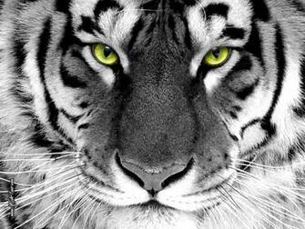 Wallpaper Feel To Let Us Know What You Think Of These Stunning