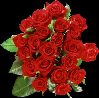 Gulab Phool Wallpaper Group Bouquet Of Roses Png