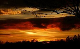 Wallpaper Zh Fabulous Nature Pictures