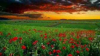 Nature Wallpaper HD Landscape Pictures One