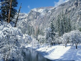 Winter Wonderland Wallpaper Desktop