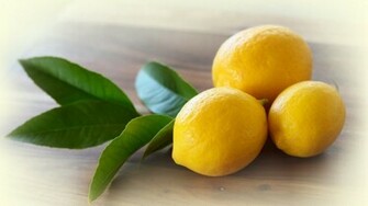 Lemon HD Wallpaper Slwallpaper