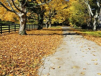 Autumn Season Wallpaper HD Beautiful