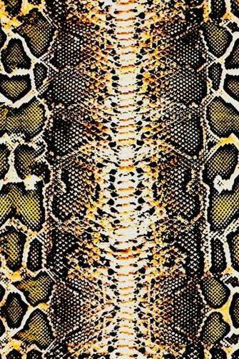 Hanar N Raouf On Clothes Animal Print Wallpaper Patterns