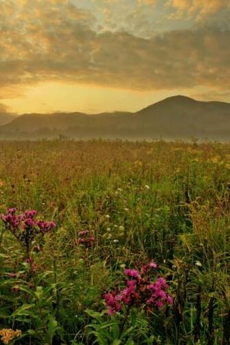 Morning Cades Cove Great Smoky Mountains HD Wallpaper