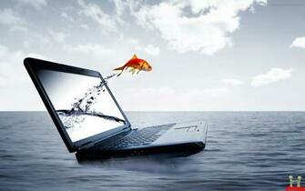 3d Fish Come Out From Laptop Screen Wallpaper E Entertainment