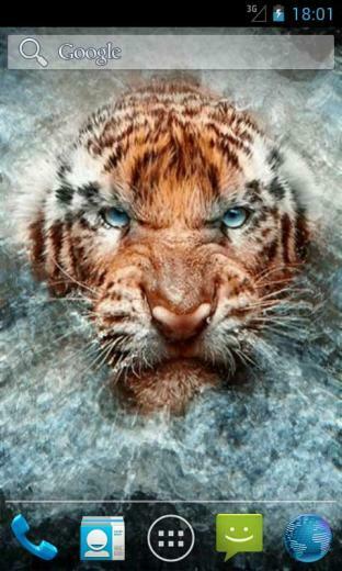 Angry Tiger Live Wallpaper For Your Android Phone