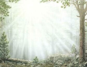 Details About Enchanted Forest Personalized Name Background