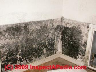 Lpt Get Rid Of Mold On Your Bathroom Ceiling Lifeprotips