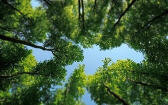 To Wallpaper Just Right Click On Pictures And Select Save