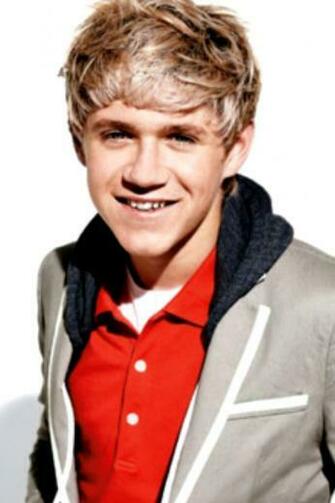 One Direction Niall Horan iPhone Wallpaper HD