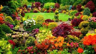 Garden Flowers Wallpaper HD Background Desktop
