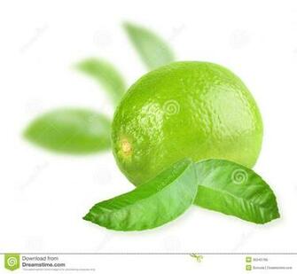 Lime Green And White Wallpaper HD Lovely