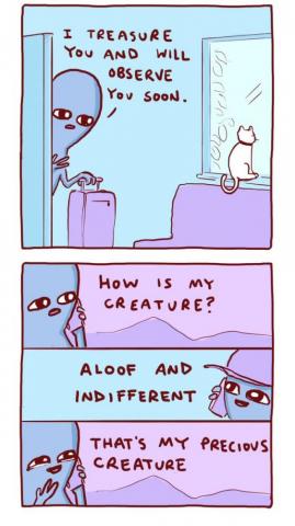 Nathan W Pyle Na U Strange Planet Wallpaper