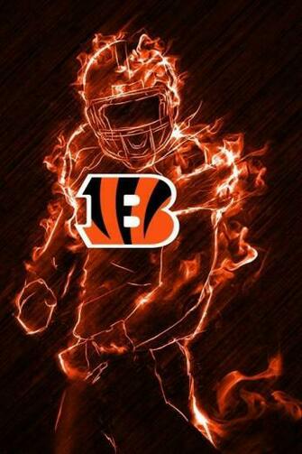 Cincinnati Bengals Nfl And Videos
