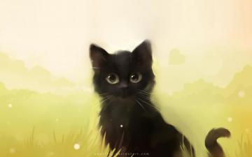 Adorable Wallpaper