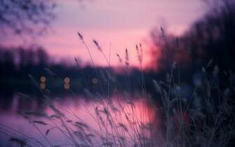 Mac Desktop Wallpaper