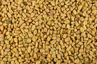 Fenugreek Wallpaper