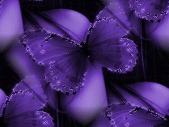 Purple Butterfly Wallpaper