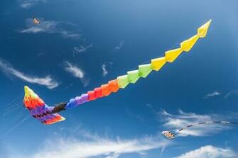 Kites Flying In The Sky HD Wallpaper Background Image