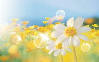 Smile Annua Anime Wallpaper Comics Desktop Background Cartoon