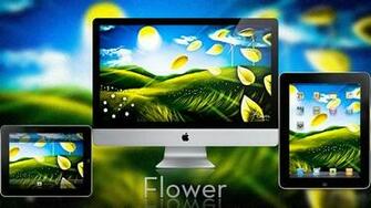 Beautiful Flower Wallpaper