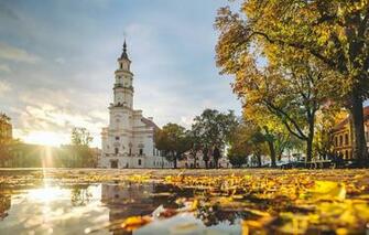 Wallpaper Lithuania Kaunas Autumn Colors Town Hall Image For