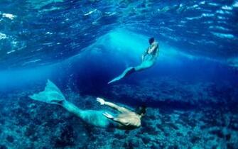 Miscellaneous Mermen Desktop Wallpaper Nr