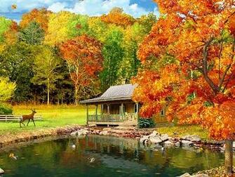 3d Falling Leaves Animated Wallpaper Software Ze
