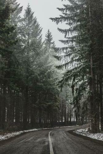 Lessons From Winter Knowing Living The Season You Re In