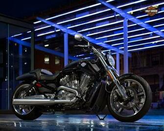 Rod Muscle Harley Davidson Italia