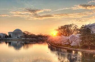 Cherry Blossoms On April 1st Has Been Cancelled And Combined With The