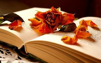 Open Book Wallpaper And Image Pictures Photos