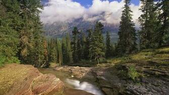 Wallpaper Screen Savers Google Screensavers And
