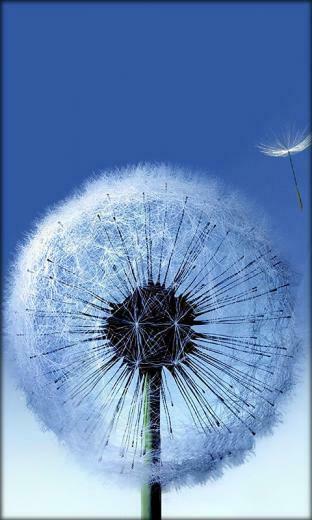 Galaxy S4 Live Wallpaper Android