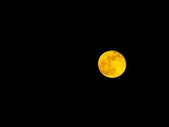 Harvest Moon Wallpaper Pictures To Pin