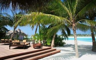 Tropical Desktop Wallpaper In HD