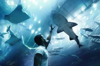 Dubai Aquarium Pictures Image
