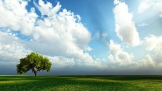 Beautiful 3d Nature Wallpaper HD Of