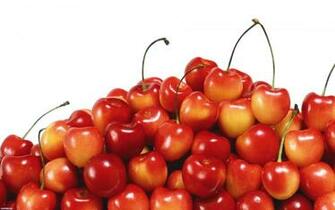 Cherries Wallpaper