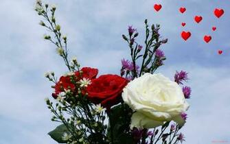 Valentine Widescreen Wallpaper