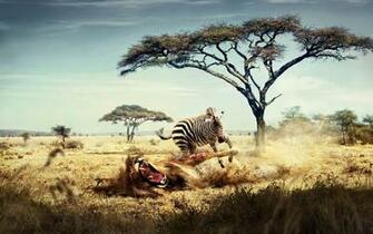 HD Africa Wallpaper For Desktop And Mobile