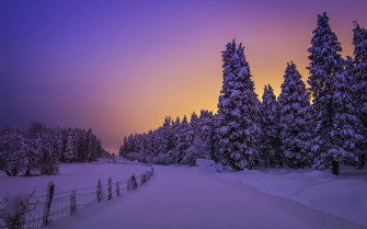 Winter Aesthetic Wallpaper