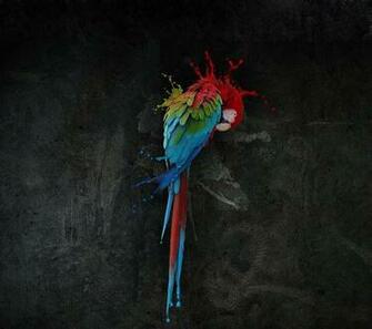 Galaxy S3 Wallpaper Re Sized Perfectly Suleiman